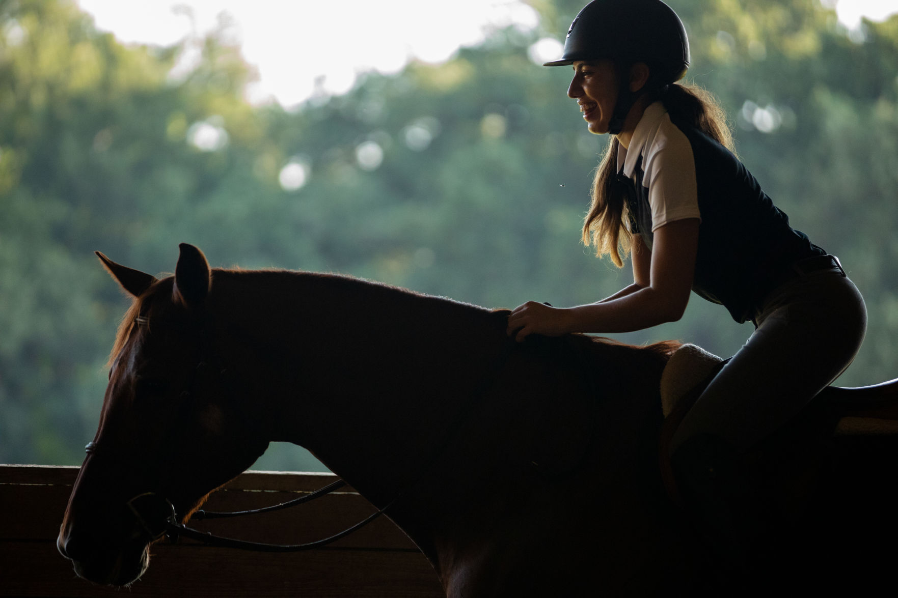 Maverick Equestrian Club to saddle up at UTA